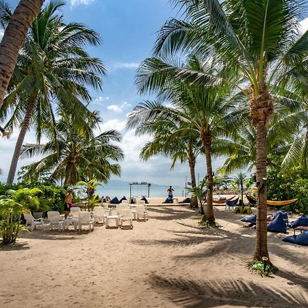 Echo Beach Hostel Baan Tai Eksteriør billede