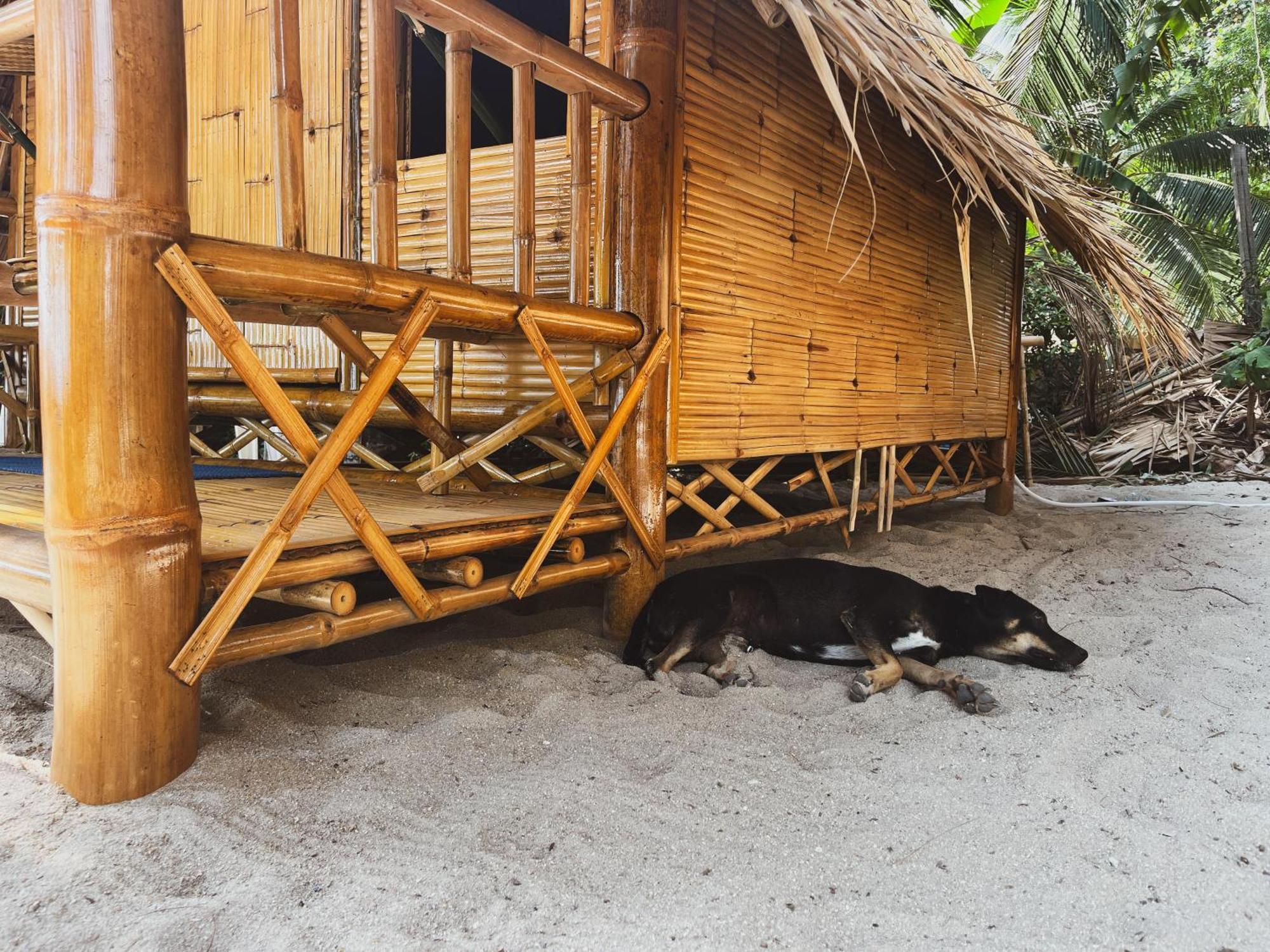 Echo Beach Hostel Baan Tai Eksteriør billede